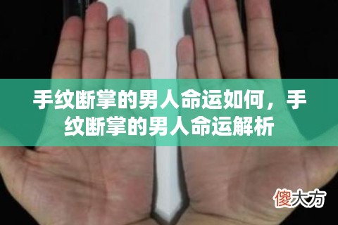 手纹断掌的男人命运解析，揭示命运走向与性格特质