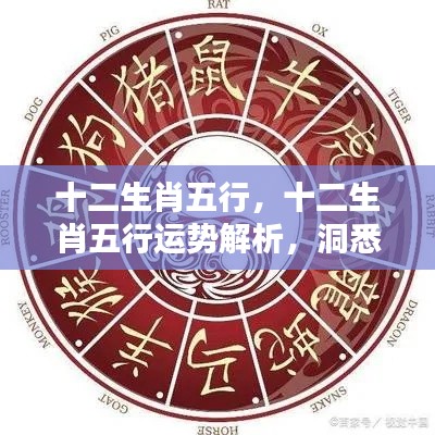 十二生肖五行运势深度解析，洞悉未来，把握人生轨迹