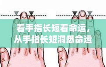 从手指长短洞悉命运走势，手相学中的秘密揭示命运长短与走势的真相