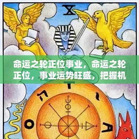 命运之轮正位助力事业腾飞，把握机遇，迈向高峰！