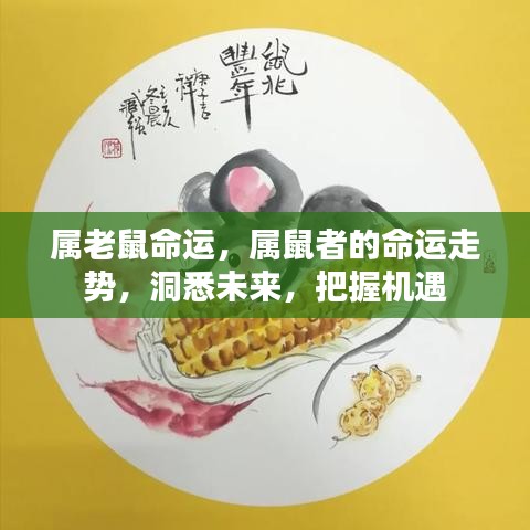 属鼠命运解析，洞悉未来走势，把握机遇挑战