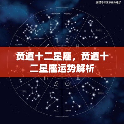 黄道十二星座运势深度解析