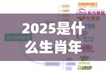 2025生肖年运势展望，探寻未来幸运密码