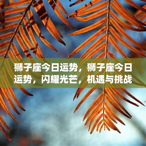 狮子座今日运势，闪耀与挑战并存