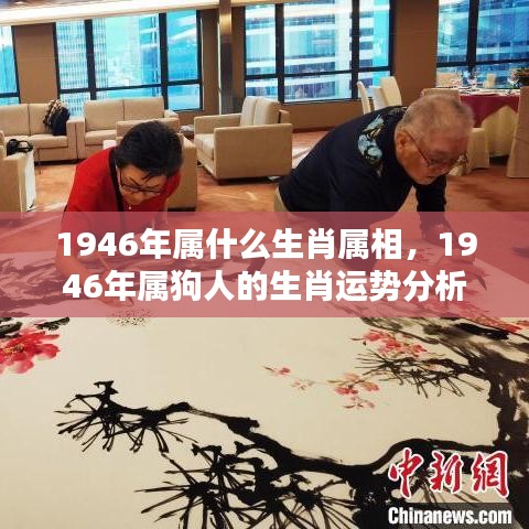 1946年属狗人的生肖运势详解