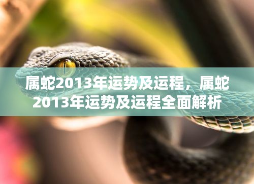 属蛇2013年运势及运程深度解析