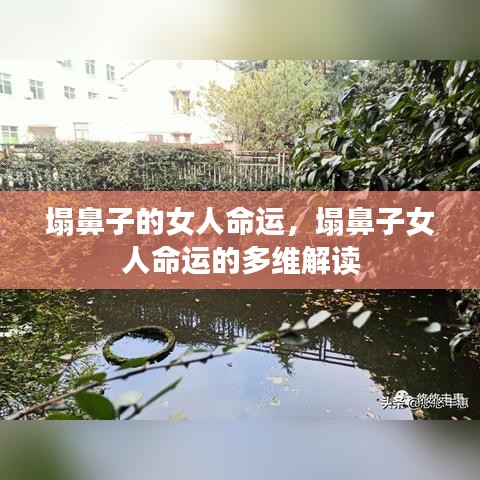 塌鼻子女人的命运解读与多维视角分析