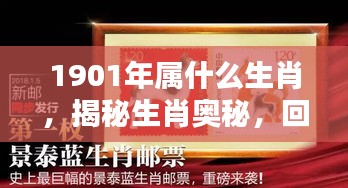 揭秘生肖奥秘，探寻1901年属相之谜，揭秘属相背后的历史与文化底蕴