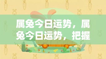 属兔今日运势揭秘，把握机遇，勇迎挑战