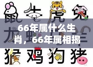 揭秘生肖运势，揭秘属相命运与生肖运势解析（属相揭秘系列）