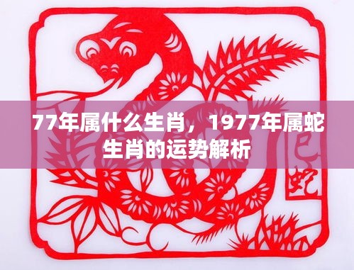 1977年属蛇人的运势解析与生肖特征