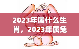 2023年属兔生肖运势全面解析