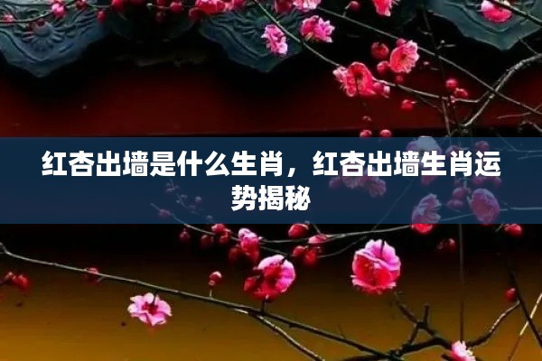 红杏出墙生肖揭秘与运势洞察