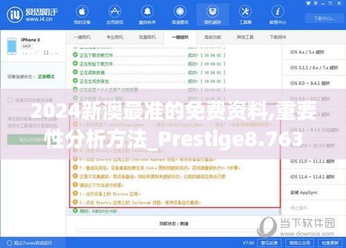 2024新澳最准的免费资料,重要性分析方法_Prestige8.763