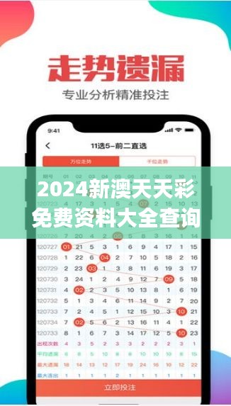 2024新澳天天彩免费资料大全查询347期,精细方案实施_WP17.237