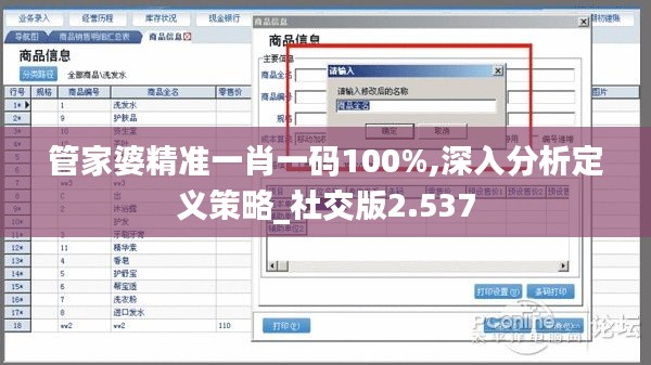 管家婆精准一肖一码100%,深入分析定义策略_社交版2.537