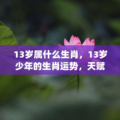 13岁少年的生肖运势与天赋异禀，未来展望