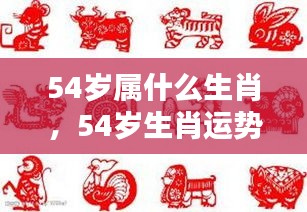 揭秘生肖运势，探寻命运之轮下的54岁生肖新篇章