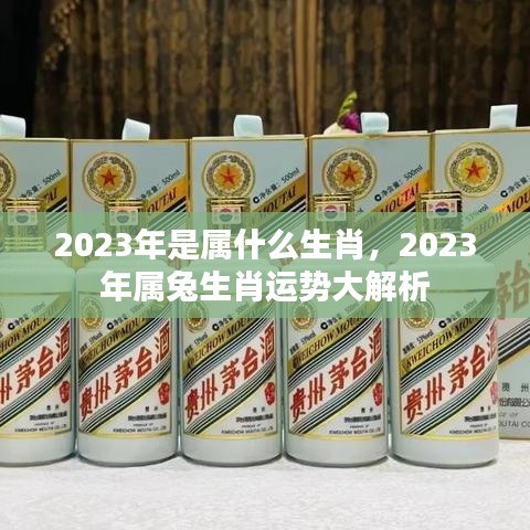 2023年属兔生肖运势全面解析