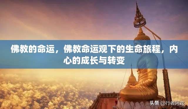 佛教命运观下的生命旅程，内心成长与转变的探索