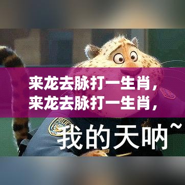 揭秘生肖运势深层逻辑，来龙去脉探寻生肖奥秘与启示