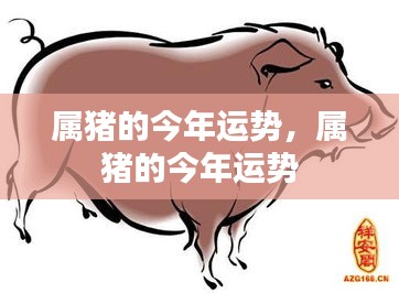 属猪人今年运势详解，事业、财运、爱情全方位解析