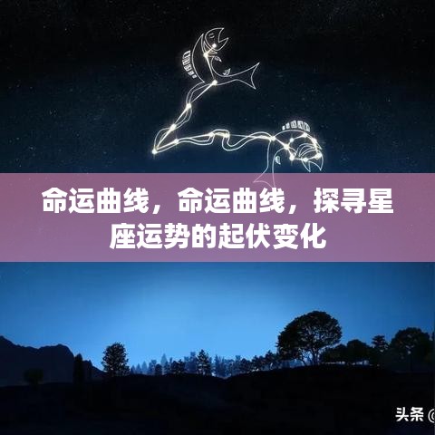 命运曲线探寻，星座运势的起伏变化之谜