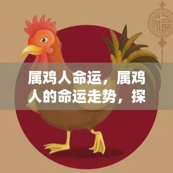 属鸡人的命运走势与机遇挑战探索