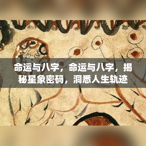 揭秘八字星象密码，洞悉人生轨迹与命运关联