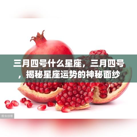 三月四号星座运势揭秘，探寻星座神秘面纱下的运势走向