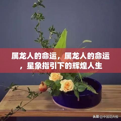 属龙人的命运，星象指引下的灿烂辉煌人生