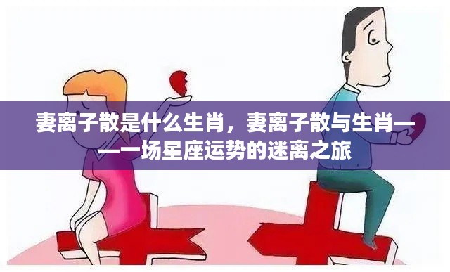 妻离子散与生肖的迷离运势之旅