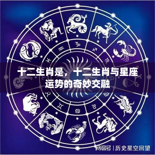 十二生肖与星座运势的奥秘交融