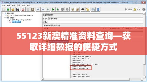 55123新澳精准资料查询—获取详细数据的便捷方式