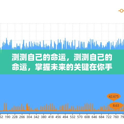 掌握命运之轮，自我测试揭示未来走向