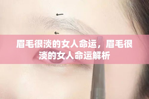 眉毛淡的女性的命运解析与探讨