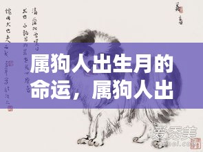 属狗人出生月的命运解析，星辰指引下的生命轨迹