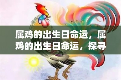 金鸡独立之路，探寻属鸡出生日的命运轨迹