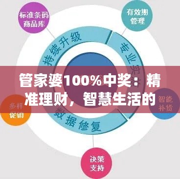 管家婆100%中奖：精准理财，智慧生活的选择