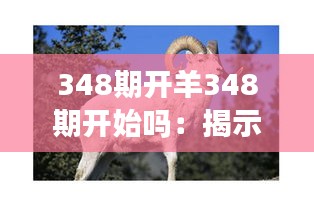 348期开羊348期开始吗：揭示其背后的深层意义