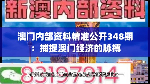 澳门内部资料精准公开348期：捕捉澳门经济的脉搏