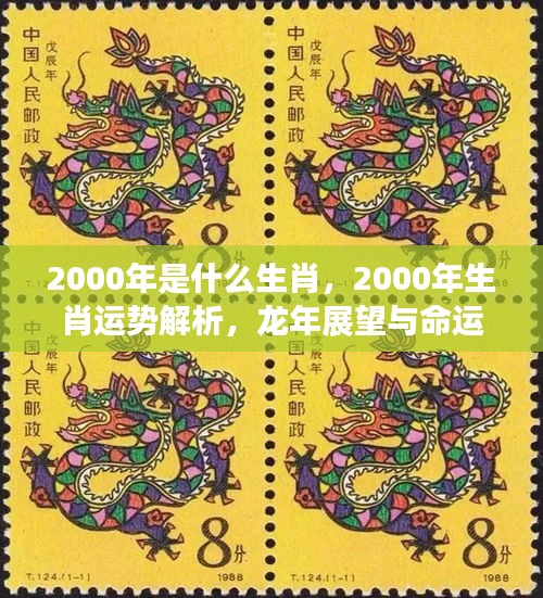 2000年生肖运势深度解析，龙年展望与命运轨迹