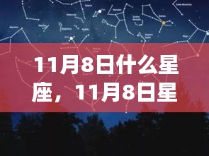 揭秘11月8日星座性格与运势，星座运势详解及未来走向预测