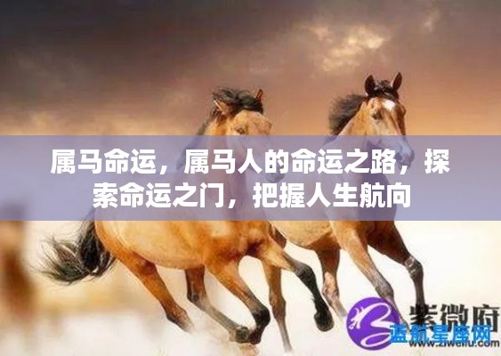 属马人的命运探索，把握人生航向，揭秘命运之门