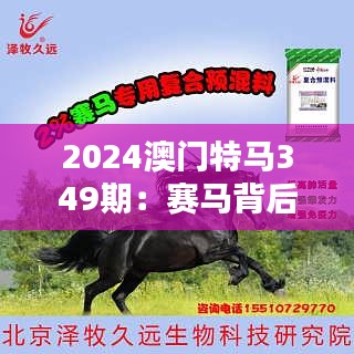 2024澳门特马349期：赛马背后的科学与艺术