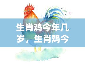 生肖鸡的年龄与运势解读，今年的挑战与机遇分析