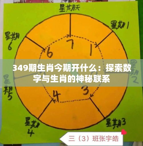 349期生肖今期开什么：探索数字与生肖的神秘联系