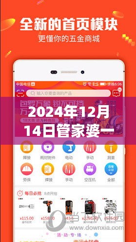 2024年12月14日管家婆一码一肖100准：新时代的代码之谜