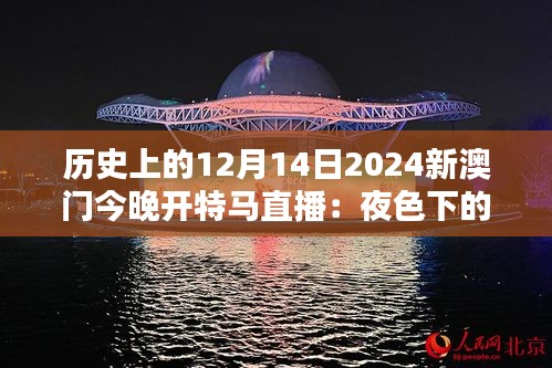 历史上的12月14日2024新澳门今晚开特马直播：夜色下的新澳门，另一种繁华