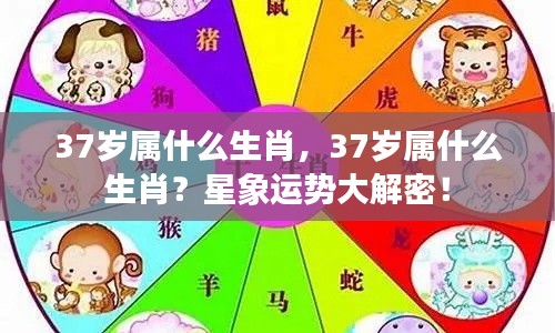 揭秘37岁属相生肖运势，星象运势深度解析